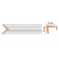 Цветной угол Decomaster 116S-115 ДМ (22*22*2400) от Euro-Lepnina.com Цветной угол Decomaster 116S-115 ДМ (22*22*2400)